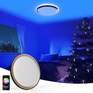 lot 2048 image: FAYOTAT 17.5 Inch Smart RGB Flush Mount Ceiling Light, Compatible with Alexa & Google Assistant, Christmas Decor Large Ambient Kids Room Light Fixture for Bedroom Living Room Playroom