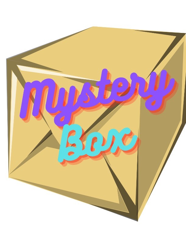 lot 496 image: Mystery Box SMALL 14X14X12