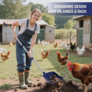 Chicken Poop Scooper & Rake 2-in-1 Set