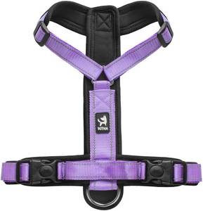 lot 22508 image: Adventure-Ready All-Season No-Pull Dog Harness