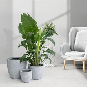 lot 2255 image: Kante 18,14,10 Dia Concrete Round Planters (Set of 3), Outdoor Indoor Large Planter Pots with Drainage Hole and Rubber Plug for Home Patio Garden, Gray