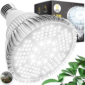 lot 5028 image: Haus Bright LED Grow Light Bulb - Pure White  for Indoor Plants Full Spectrum Lamp  Seed Starting, House, Garden, Vegetable, Succulent, Hydroponic, Greenhouse Growing  100W E26 (B07WNB1L73) - Retail $50