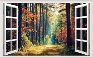 lot 2950 image: 3D Faux Window Wall StickerMural of a Beautiful Forest Scene, Waterproof, Premium, Strong, Self Adhesive Vinyl   Fully Removable and Repositionable Leaving NO Damage to Your Walls (Dimensions 27.6 x 17.3 Inches)