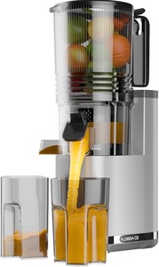 lot 3763 image: Cold Press Juicer, 6.5 Extra Large Feed Chute Juicer Machines, Hands-Free 350W Slow Masticating Juicer Machines with High Juice Yield for Whole Vegetables & Fruits, BPA Free, Silver