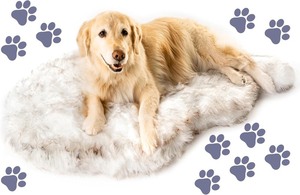 lot 3779 image: PAW BRANDS PupRug Orthopedic Dog Bed for Large Dogs with Fluffy Soft Faux Fur and Memory Foam for Joint Pain Relief, Machine Washable and Waterproof Couch Bed, White with Brown Accents, LargeXL