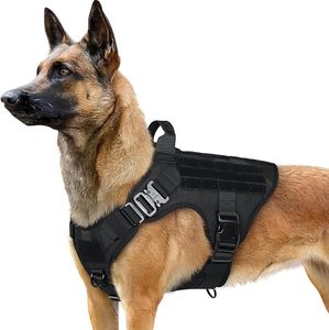 lot 22641 image: Rabbitgoo Heavy-Duty Tactical Dog Harness (Black, Size L)