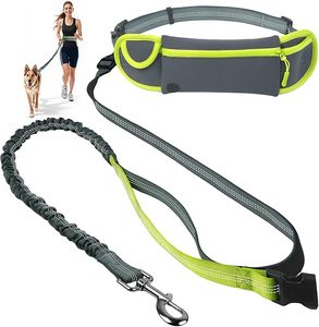 lot 22661 image: 3-in-1 Hands-Free Dog Leash with Zipper Pouch