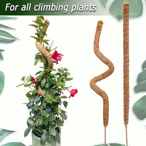 lot 9322 image: 28 Bendable Moss Pole (2-Pack)