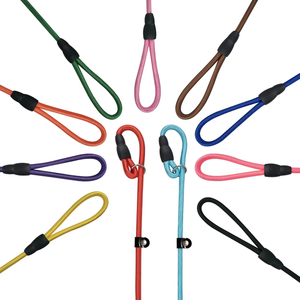 lot 11095 image: 11-Pack Dog Slip Leads  Adjustable Training Leashes, 1.4M Nylon
