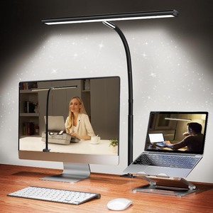 lot 2691 image: LED Desk Lamp for Office Home, Eye-Caring Desk Light with Stepless Dimming Adjustable Flexible Gooseneck, 10W USB Adapter Desk Lamp with Clamp for Reading, Study, Workbench (Black)