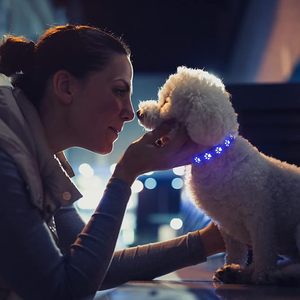 lot 22802 image: LED Waterproof Dog Collar  Rechargeable Light-Up Necklace for Small Pets (XS)