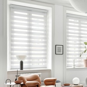 lot 2795 image: Cordless Zebra Blinds for Windows Free-Stop Shades Light Filtering Dual Layer Light Control for Day and Night (White, 33 in (W) x 64 in (H))