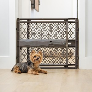 lot 2879 image: MYPET North States Paws Portable Pet Gate 26-40 Wide. Pressure Mount. No Tools Needed. Made in USA, 23 Tall, Expandable, Durable Dog Gates for Doorways, Fieldstone Gray