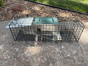 lot 20 image: Wire Live Animal Trap Cage 24x8 wide