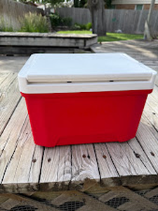 lot 116 image: Igloo Compact Cooler
